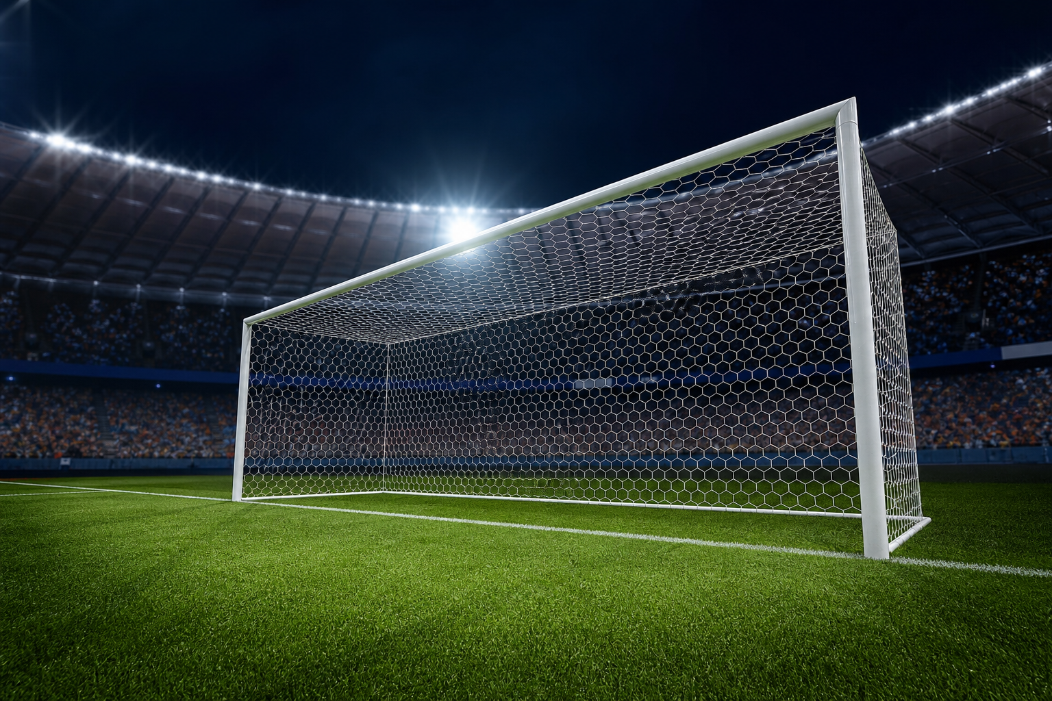 サッカー ゴール 大き さ プロって？