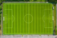 サッカーコートは何坪なの？