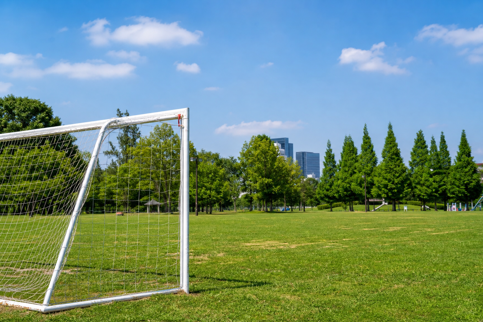 サッカーゴールがある公園は無料で東京にある？