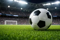 サッカー ニュージーランド 代表 順位って？