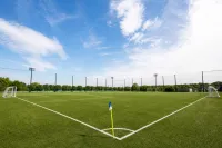 サッカーのコートのサイズ、8人制とは？