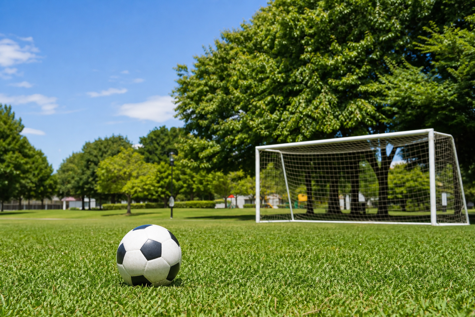 サッカーゴールがある無料スペースを見つけるカギは「施設区画」！