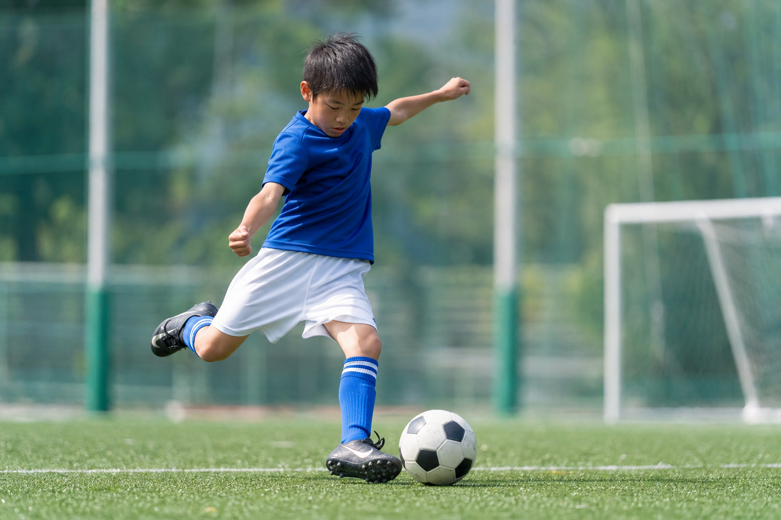 毎日の練習用には「TF（ターフ）モデル」を選ぶのが正解！